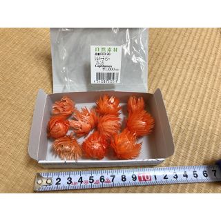 シルバーデイジー　orange ヘッド１０輪(ドライフラワー)