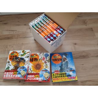 コウダンシャ(講談社)の新品同様！動く図鑑MOVE9巻DVD講談社(動物恐竜昆虫鳥魚宇宙植物危険生)(絵本/児童書)