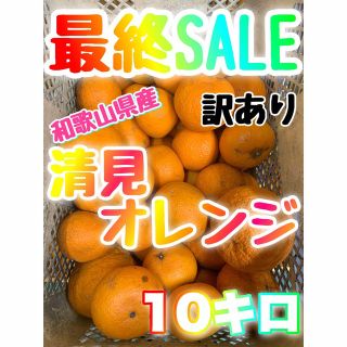 【シーズンラスト】【売切御免】和歌山県産【清見オレンジ】10キロ【訳あり品】(フルーツ)