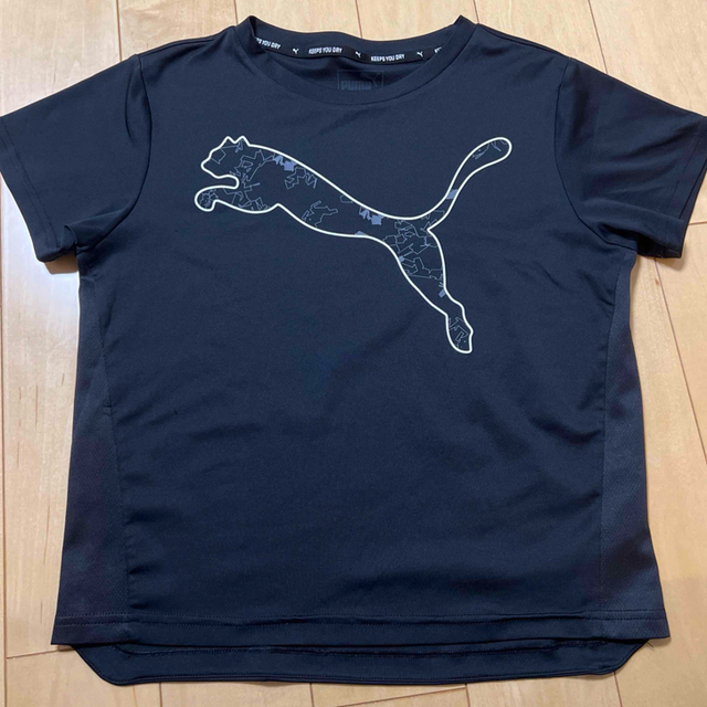 PUMA(プーマ)のPUMA Tシャツ　140センチ キッズ/ベビー/マタニティのキッズ服男の子用(90cm~)(Tシャツ/カットソー)の商品写真