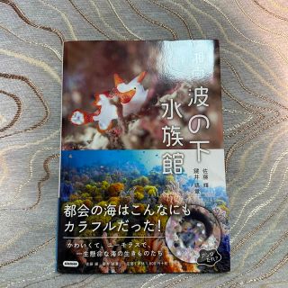 湘南波の下水族館(趣味/スポーツ/実用)