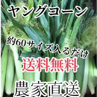 yukky 様専用　(野菜)