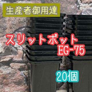 ◎20個◎ロング スリットポット EG-75L slitpot プラ鉢(プランター)