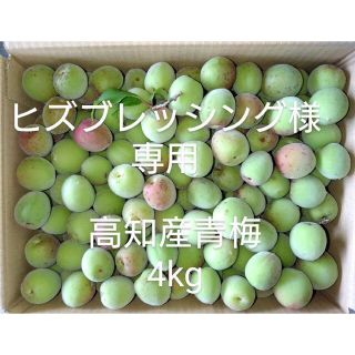 高知産青梅 4|kg  品種【南高梅小梅】 無農薬・有機肥料のみで栽培(フルーツ)