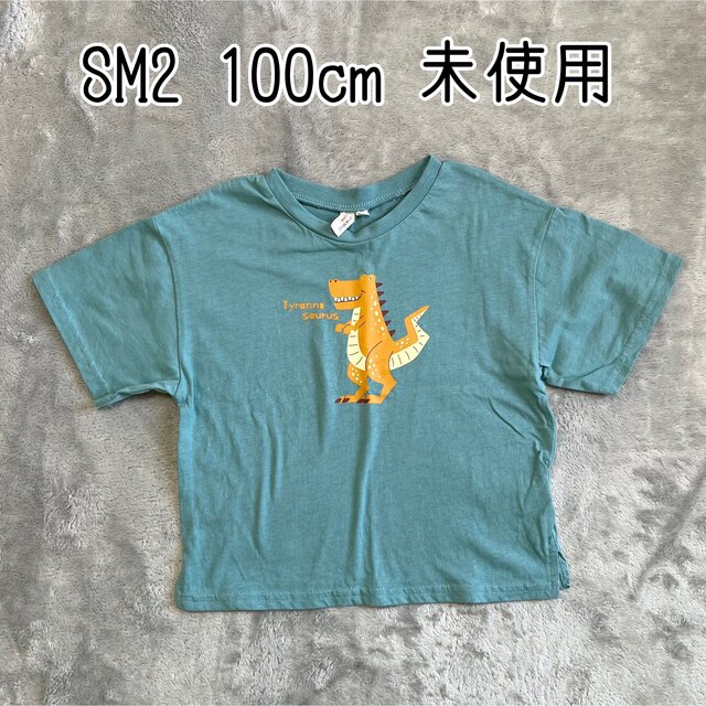 SM2(サマンサモスモス)の最終値下げ　サマンサモスモスTシャツ 半袖 100cm 恐竜  キッズ/ベビー/マタニティのキッズ服男の子用(90cm~)(Tシャツ/カットソー)の商品写真