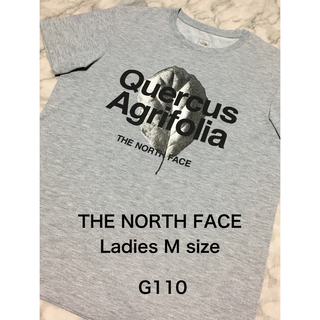 ザノースフェイス(THE NORTH FACE)の【レア】古着 Ladies M size THE NORTH FACE Tシャツ(Tシャツ(半袖/袖なし))