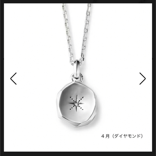 GARNI - GARNI ガルニ ネックレス SV925 Amulet Pendant - Lの通販 by