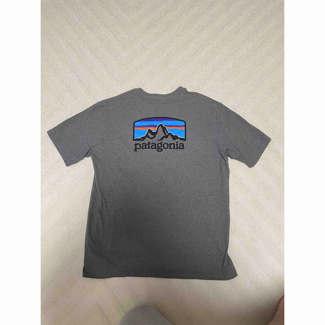 patagonia(パタゴニア)のパタゴニアTシャツ　 patagonia Lサイズ エンタメ/ホビーのエンタメ その他(その他)の商品写真