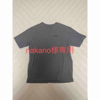 パタゴニア(patagonia)のパタゴニアTシャツ　 patagonia Lサイズ(その他)