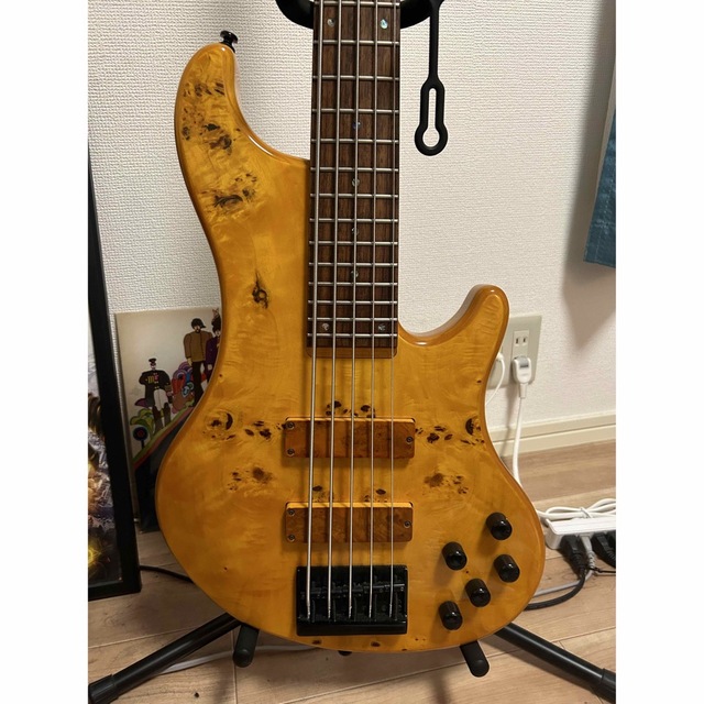 全店販売中 Bossa Tribute 5弦ベース iauoe.edu.ng
