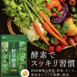 野草酵素 野菜酵素 サプリメント約3ヵ月分 やさい酵素 美容 ダイエット  (ダイエット食品)
