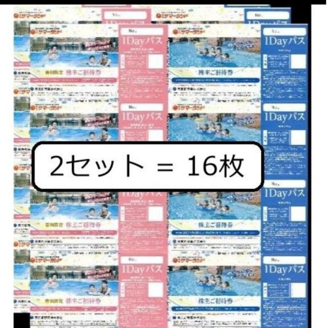 東京サマーランド 株主ご招待券 大井競馬場 株主優待証 16 枚の通販 by