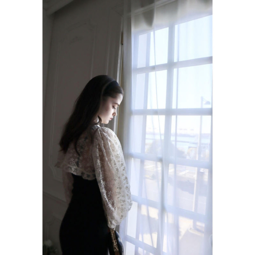 arm volume frill cropped blouse organdy レディースのトップス(シャツ/ブラウス(長袖/七分))の商品写真