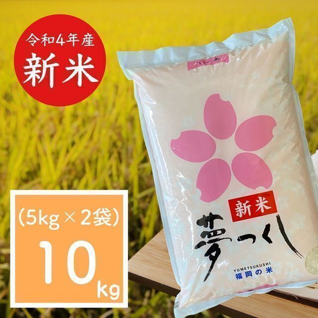 厳選米　安い　福岡県産　新米　米/穀物　白米　10kg　お米　令和4年　夢つくし　美味しい