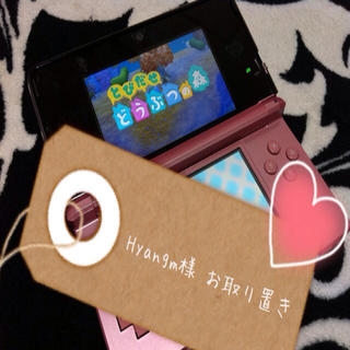 3DS+とびだせどうぶつの森ソフト(その他)