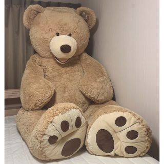 コストコ くま ぬいぐるみ COSTCO big bear 236cm