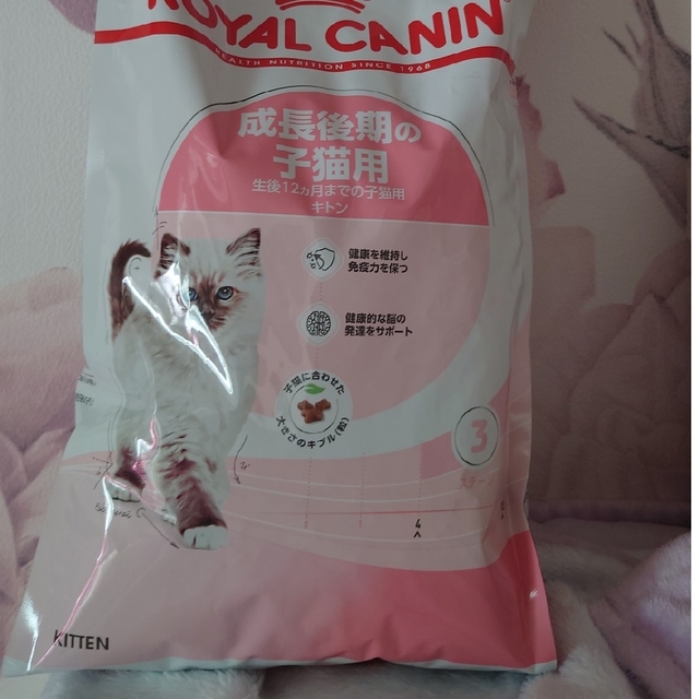 ROYAL CANIN(ロイヤルカナン)の【新品送料無料＋1キロおまけ】ロイヤルカナン　キトン成長後期の子猫用２ｋｇ その他のペット用品(猫)の商品写真