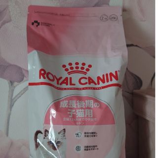 ロイヤルカナン(ROYAL CANIN)の【新品送料無料＋1キロおまけ】ロイヤルカナン　キトン成長後期の子猫用２ｋｇ(猫)