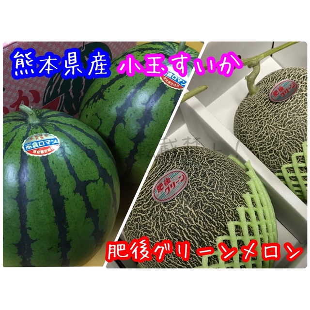 肥後グリーンメロンと小玉すいかのセット 優品 4キロ以上 食品/飲料/酒の食品(フルーツ)の商品写真