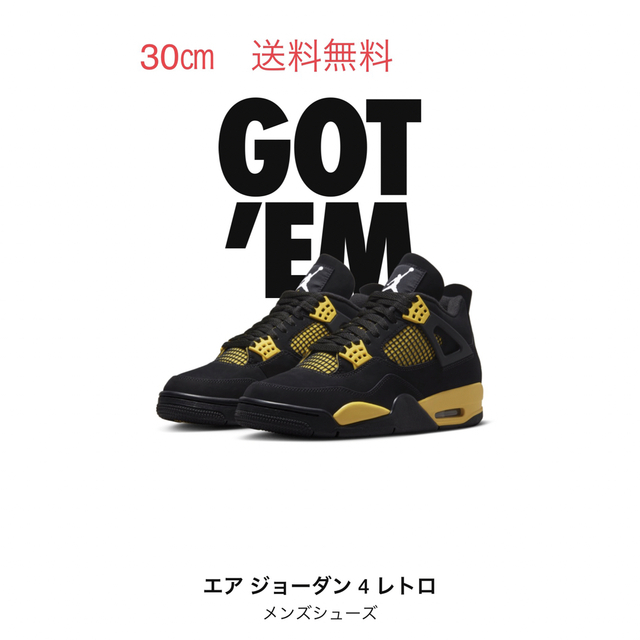 ジョーダン4Nike Air Jordan 4 Thunder 30cm ジョーダン4