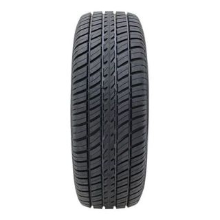 COOPER COBRA RADIAL G/T.RWL 225/70R15 10(タイヤ)