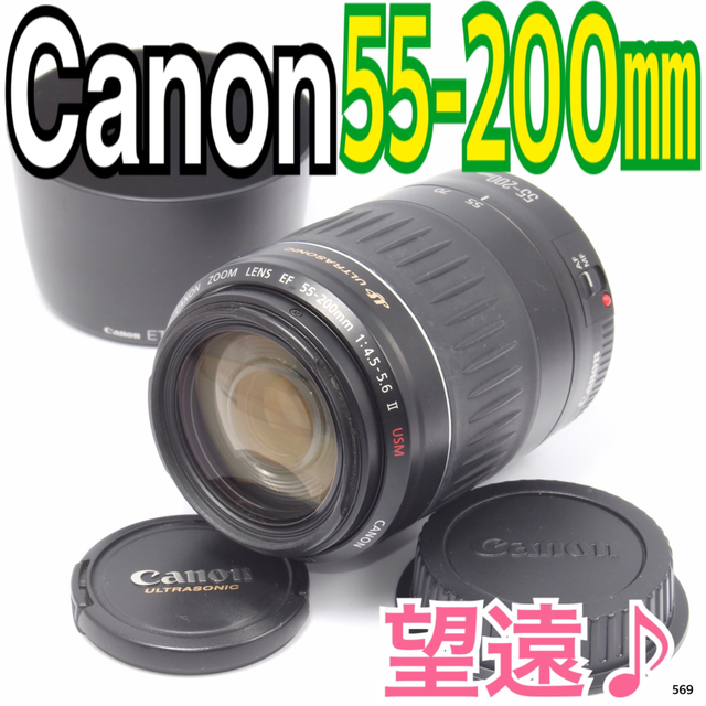 Canon 望遠レンズ EF55-200mm F4.5-5.6 II USM - レンズ(ズーム)