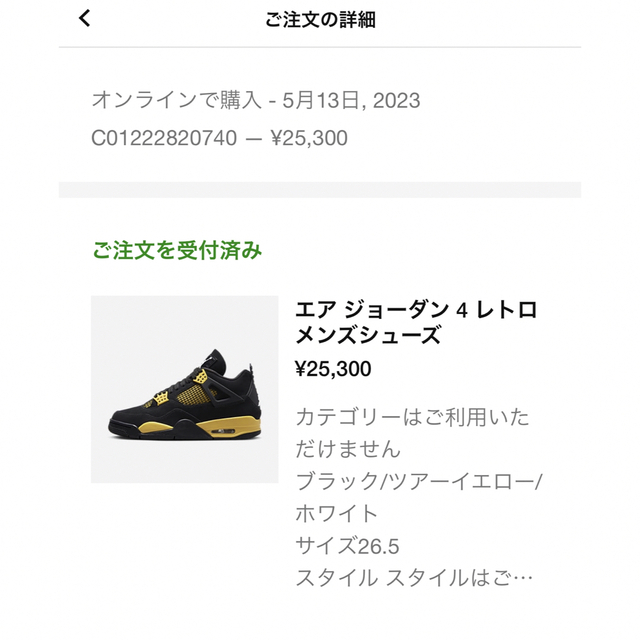 NIKE ナイキ Air Jordan 4 Retro "Thunder"