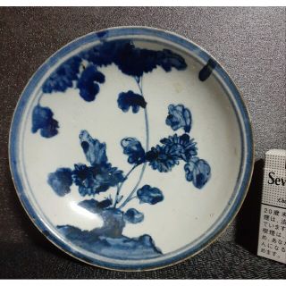 1907952946.jpg?1683941766 1907952946.jpg?1683941766
