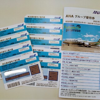 ANA株主優待券9枚記載期限 2023年6月1日〜2024年5月31日(その他)