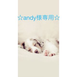 ☆andy様専用☆ＧＲＡＴＩＴＵＤＥ毎日を好転させる感謝の習慣(ビジネス/経済)