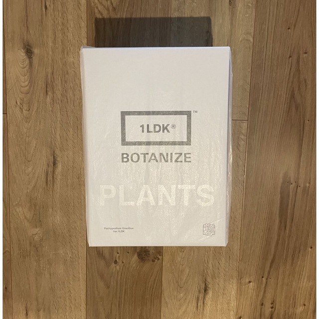 ボタナイズ トート付Pachypodium Gracilius var.1LDK | mawadgroup.com ボタナイズ トート付Pachypodium Gracilius var.1LDK