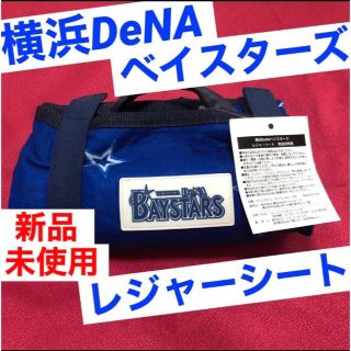 ヨコハマディーエヌエーベイスターズ(横浜DeNAベイスターズ)の横浜DeNAベイスターズ　レジャーシート　レジャーマット　フリース生地(記念品/関連グッズ)