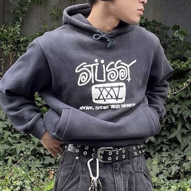 海外限定 ステューシー Stussy トレーナー グレー XL