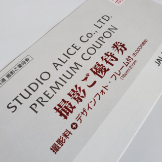 ジャル(ニホンコウクウ)(JAL(日本航空))のスタジオアリス　撮影優待券　JAL　8,000円相当　株主優待(写真額縁)