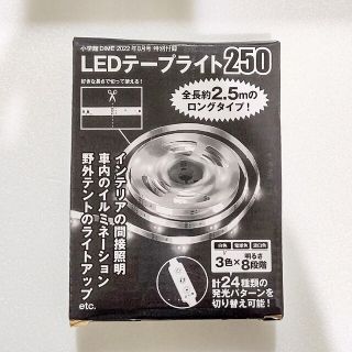 ショウガクカン(小学館)のDIME ダイム2022年8月号　付録 LEDテープライト250(ストロボ/照明)