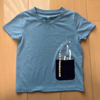 グラニフ(Design Tshirts Store graniph)のグラニフ  100 ＊ Tシャツ 半袖 チンアナゴ ニシキアナゴ 水族館(Tシャツ/カットソー)