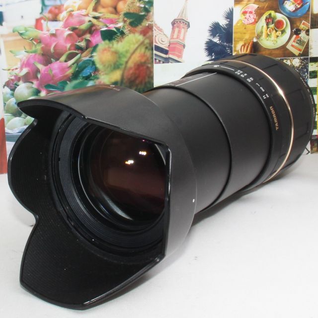 ❤️１本で標準から超望遠まで対応❤️タムロン 28-300mm ニコン用❤️