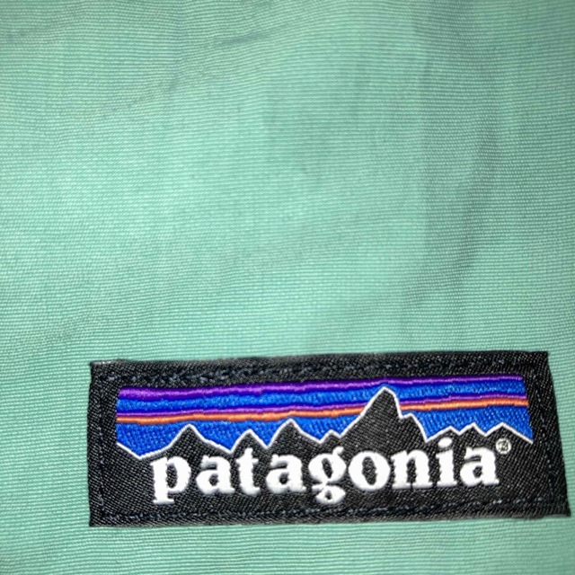 patagonia(パタゴニア)のパタゴニア　バギーズロング　Lサイズ メンズのパンツ(ショートパンツ)の商品写真