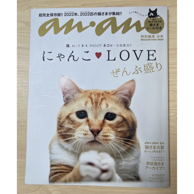 マガジンハウス(マガジンハウス)の ●にゃんこＬＯＶＥぜんぶ盛り●ＭＡＧＡＺＩＮＥ　ＨＯＵＳＥ　ＭＯＯＫ● エンタメ/ホビーの雑誌(専門誌)の商品写真