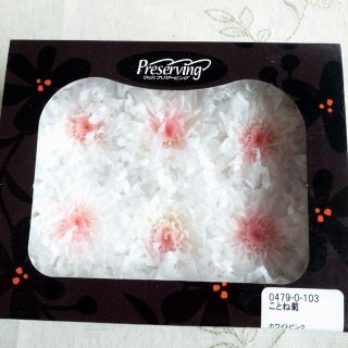 ゲルニカの涙様♡専用ページ*花材詰め合わせ3点セットの通販 by モモ