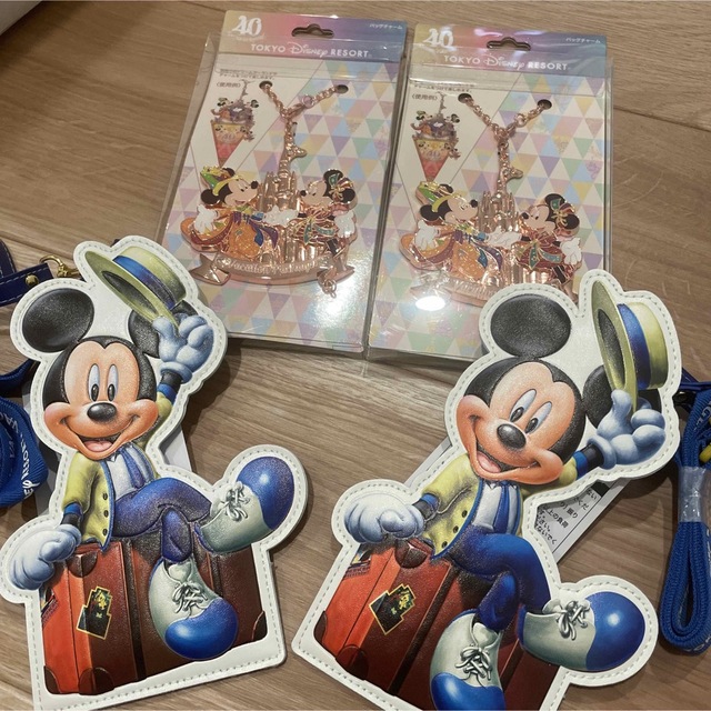 Disney(ディズニー)のディズニーランド　バケーションパッケージ エンタメ/ホビーのおもちゃ/ぬいぐるみ(キャラクターグッズ)の商品写真