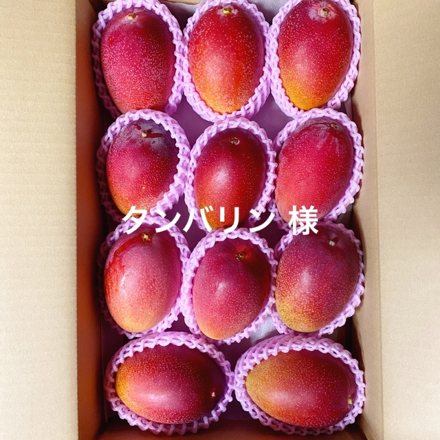 宮崎県産 完熟マンゴー 3.5kg 食品/飲料/酒の食品(フルーツ)の商品写真
