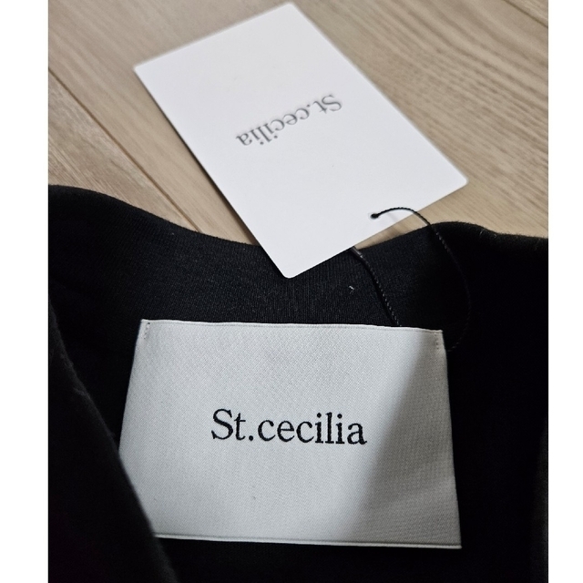 Drawer(ドゥロワー)のSt.cecilia BOMBORI Tシャツ Girlish ボンボリTシャツ レディースのトップス(Tシャツ(半袖/袖なし))の商品写真