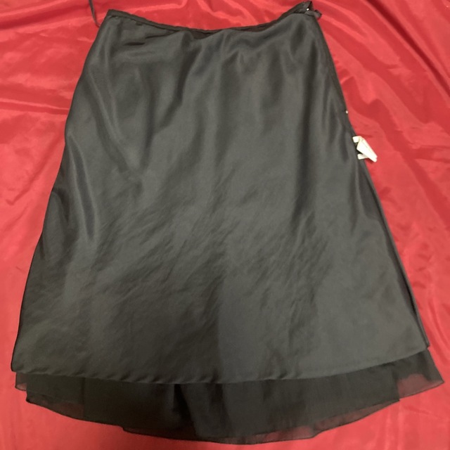 セントダーク　ブラック　フレアスカート　 レディースのスカート(ひざ丈スカート)の商品写真