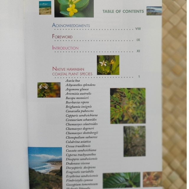 ハワイの海岸植物の本 エンタメ/ホビーの本(趣味/スポーツ/実用)の商品写真
