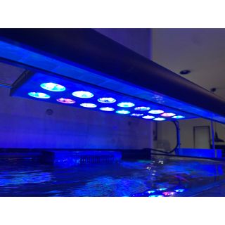 レブロン(REVLON)の【美品】ZOOX レブロン 60 LED ライト レッドシー サンゴ 海水魚(アクアリウム)