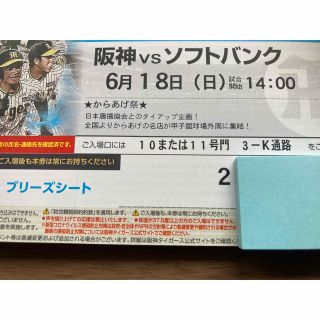 ハンシンタイガース(阪神タイガース)の6/18(日 )阪神-ソフトバンク　ブリーズシート通路横ペア(野球)