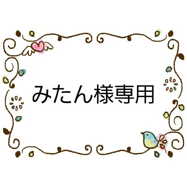 ポケモン(ポケモン)のみたん様専用　水筒肩紐カバー　ポケモン、プリキュア　おまとめ ハンドメイドのキッズ/ベビー(外出用品)の商品写真