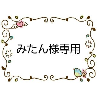 ポケモン(ポケモン)のみたん様専用　水筒肩紐カバー　ポケモン、プリキュア　おまとめ(外出用品)