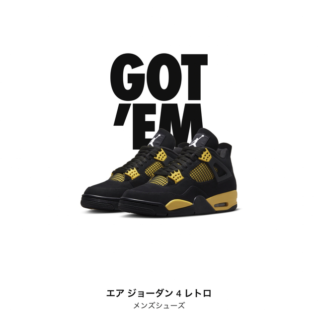 【希少サイズ】AIR JORDAN 4 RETRO